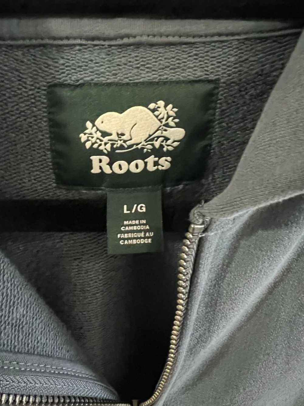 Roots Cropped Cloud Hoodie - Picture 4 of 5